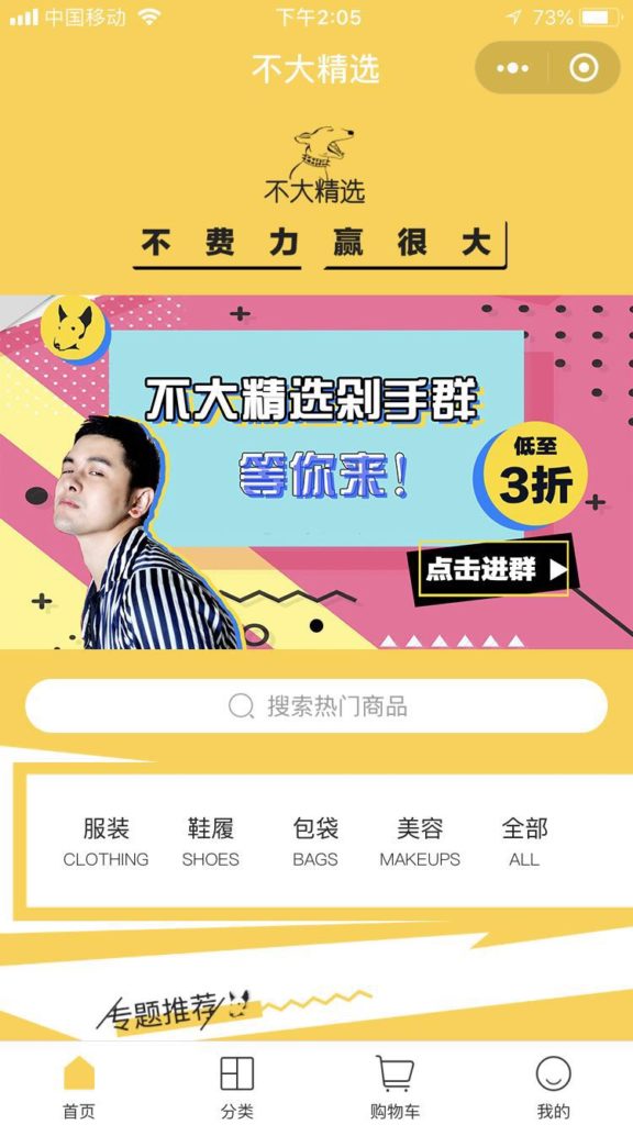 mini-program WeChat
