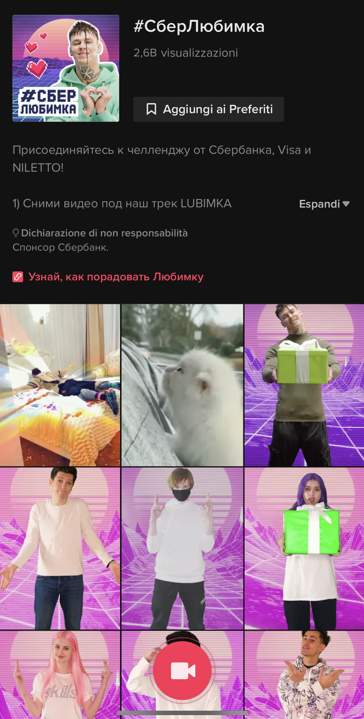 Campagna Sberbank TikTok