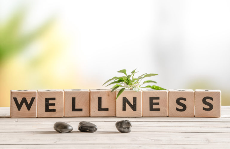 wellness economy